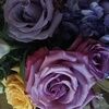 marthasmom31